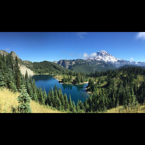 Meet your Posher, Wei - Picture 1 of 1